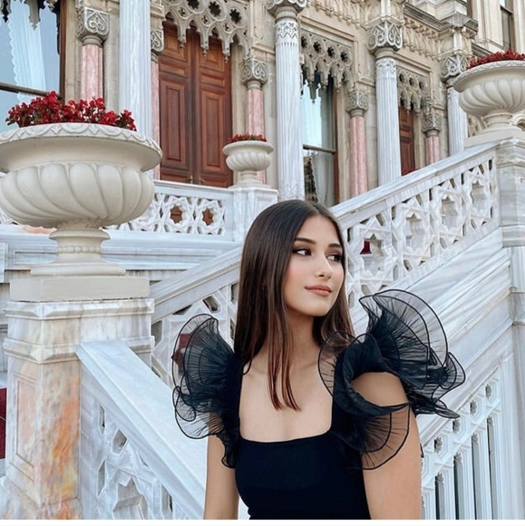 Zara Ruffled Organza top - Picture 5 of 7